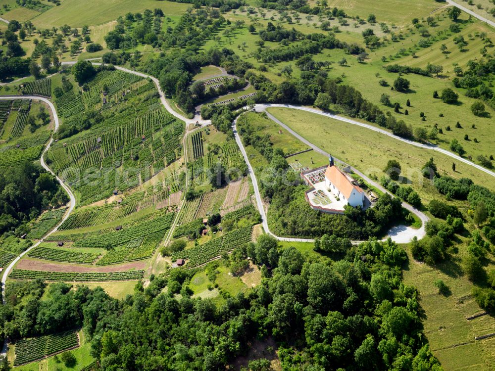 Aerial photograph Rottenburg am Neckar - Fields of wine cultivation landscape in Rottenburg am Neckar in the state Baden-Wuerttemberg, Germany