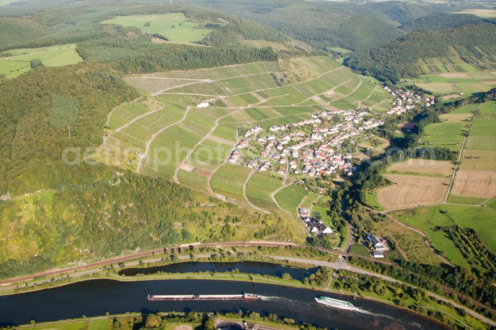 Ockfen from above - Fields of wine cultivation landscape in Ockfen over the river Saar in the state Rhineland-Palatinate