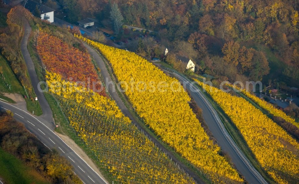 Sankt Goar from the bird's eye view: Fields of wine cultivation landscape in Sankt Goar in the state Rhineland-Palatinate