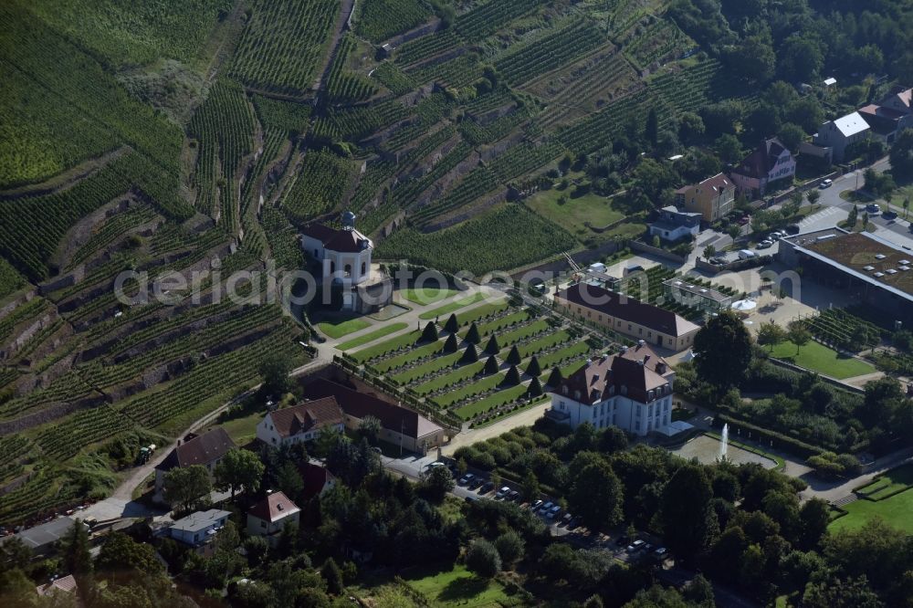 Radebeul from the bird's eye view: Fields of wine cultivation landscape Saechsisches Staatsweingut GmbH Schloss Wackerbarth on the Wackerbarthstrasse in Radebeul in the state Saxony