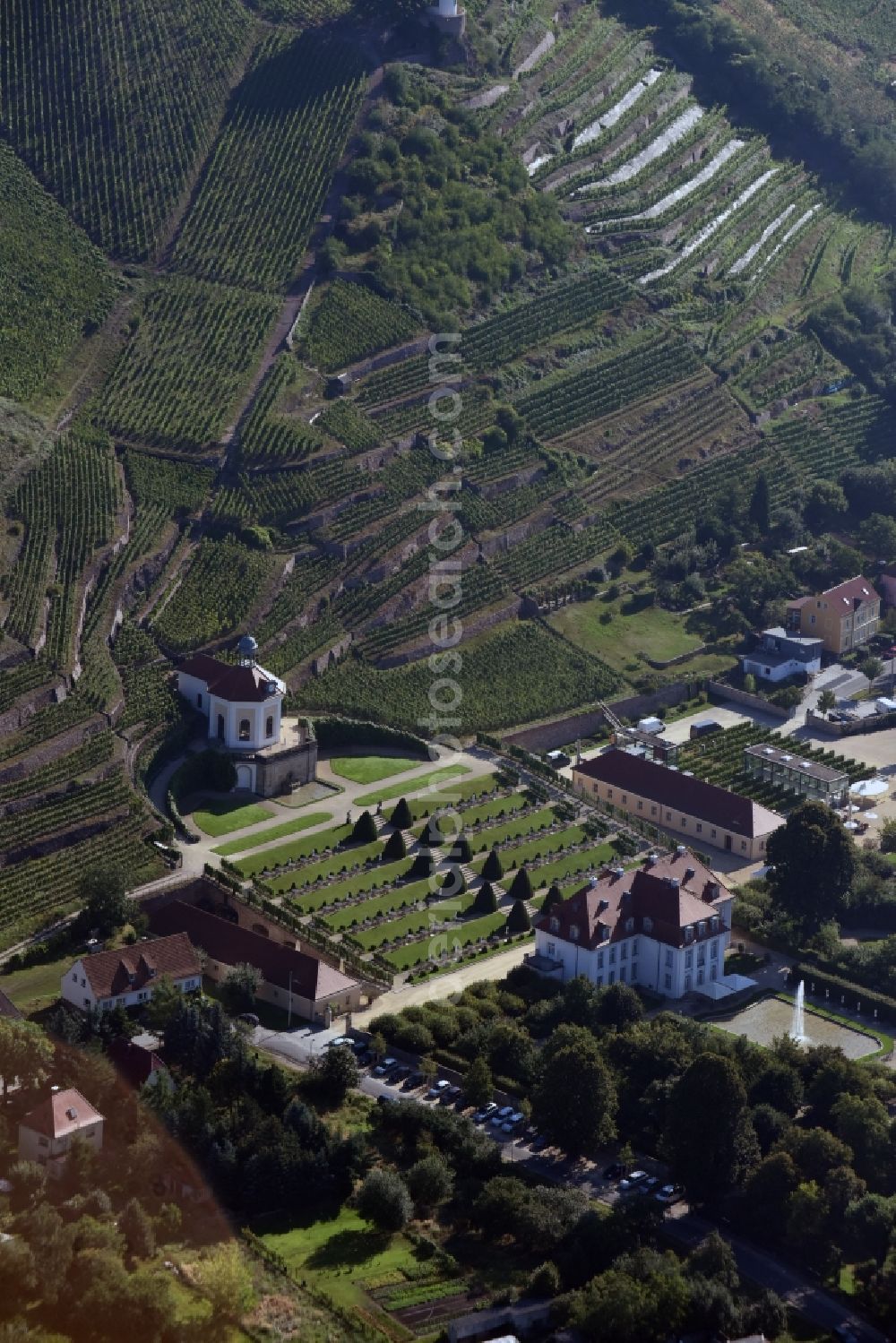 Radebeul from above - Fields of wine cultivation landscape Saechsisches Staatsweingut GmbH Schloss Wackerbarth on the Wackerbarthstrasse in Radebeul in the state Saxony