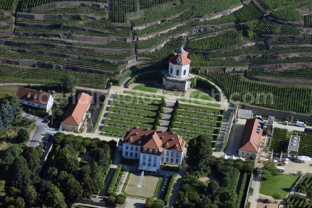 Radebeul from the bird's eye view: Fields of wine cultivation landscape Saechsisches Staatsweingut GmbH Schloss Wackerbarth on the Wackerbarthstrasse in Radebeul in the state Saxony