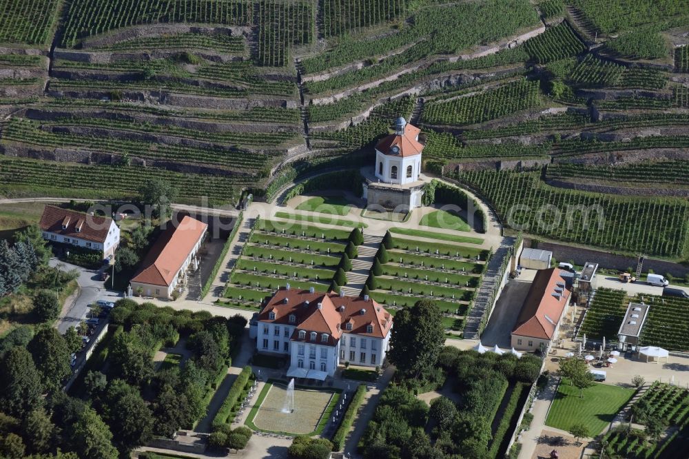 Aerial image Radebeul - Fields of wine cultivation landscape Saechsisches Staatsweingut GmbH Schloss Wackerbarth on the Wackerbarthstrasse in Radebeul in the state Saxony