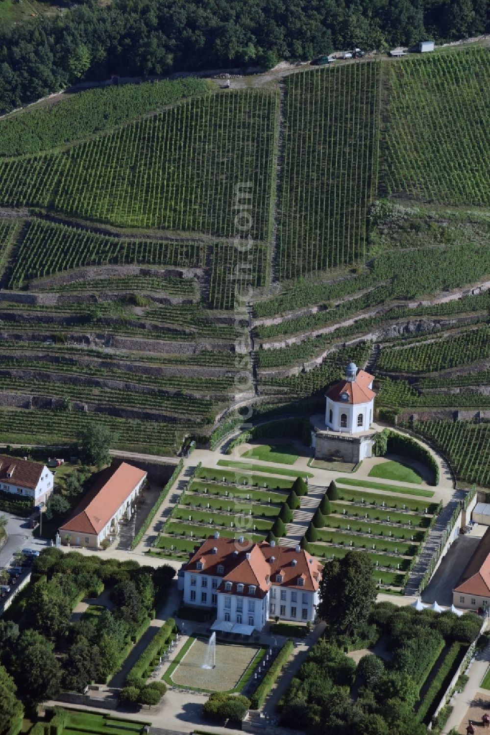 Aerial photograph Radebeul - Fields of wine cultivation landscape Saechsisches Staatsweingut GmbH Schloss Wackerbarth on the Wackerbarthstrasse in Radebeul in the state Saxony