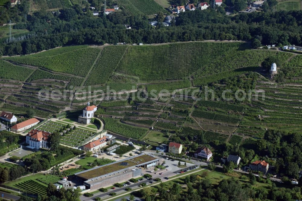 Radebeul from above - Fields of wine cultivation landscape Saechsisches Staatsweingut GmbH Schloss Wackerbarth on the Wackerbarthstrasse in Radebeul in the state Saxony