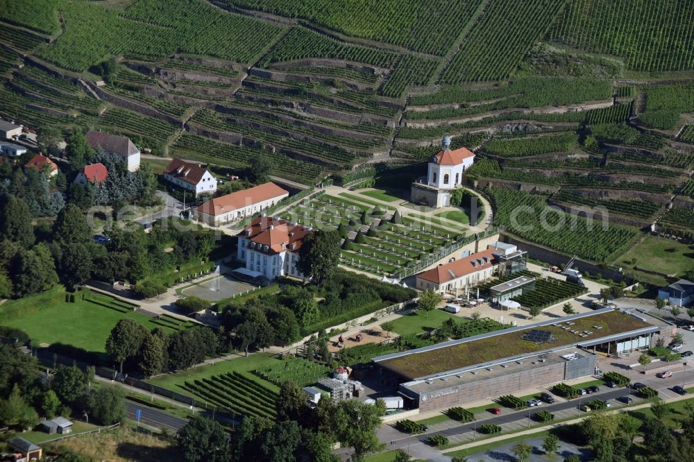 Radebeul from the bird's eye view: Fields of wine cultivation landscape Saechsisches Staatsweingut GmbH Schloss Wackerbarth on the Wackerbarthstrasse in Radebeul in the state Saxony