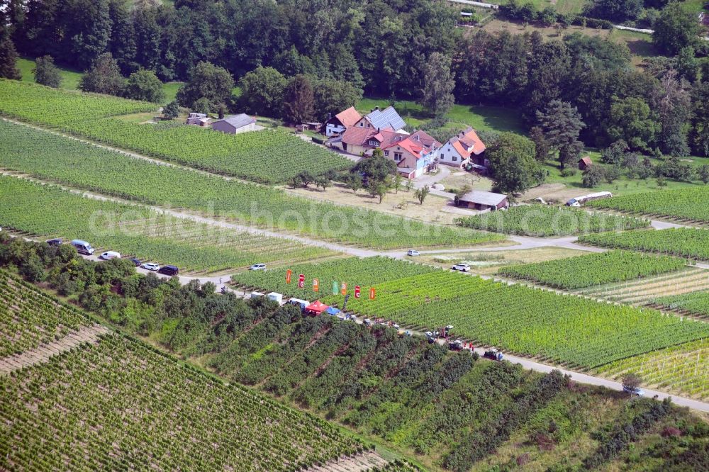 Aerial image Sinzheim - Fields of wine cultivation landscape in Sinzheim in the state Baden-Wurttemberg, Germany