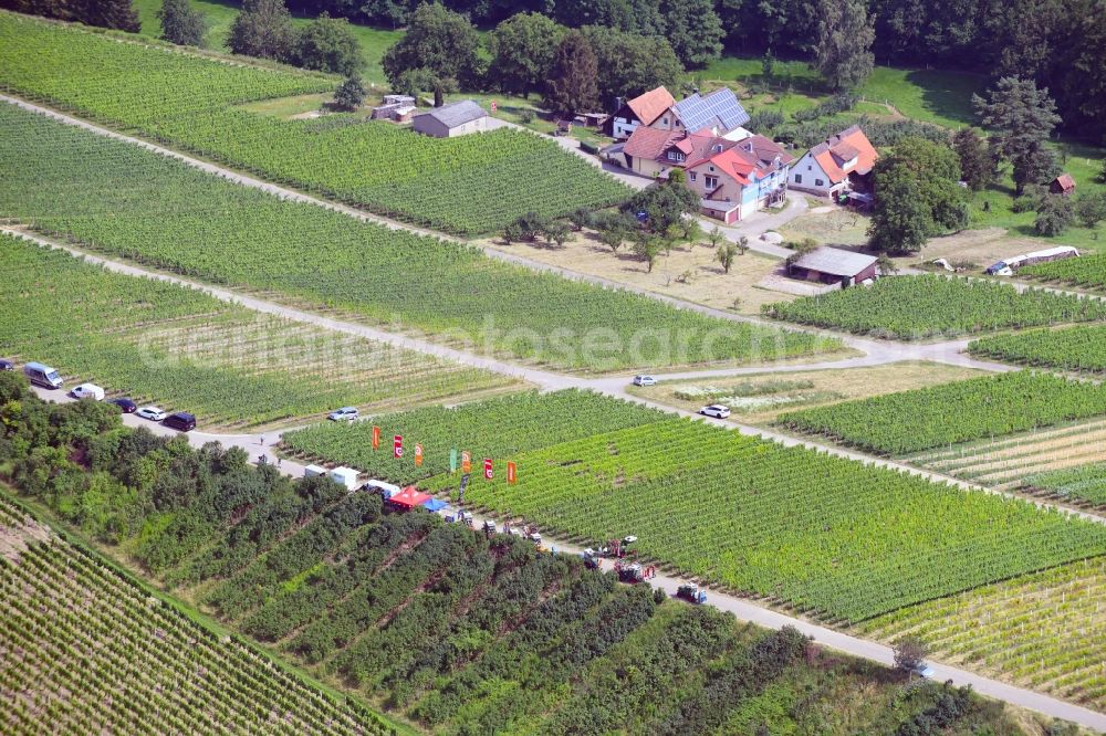 Aerial photograph Sinzheim - Fields of wine cultivation landscape in Sinzheim in the state Baden-Wurttemberg, Germany