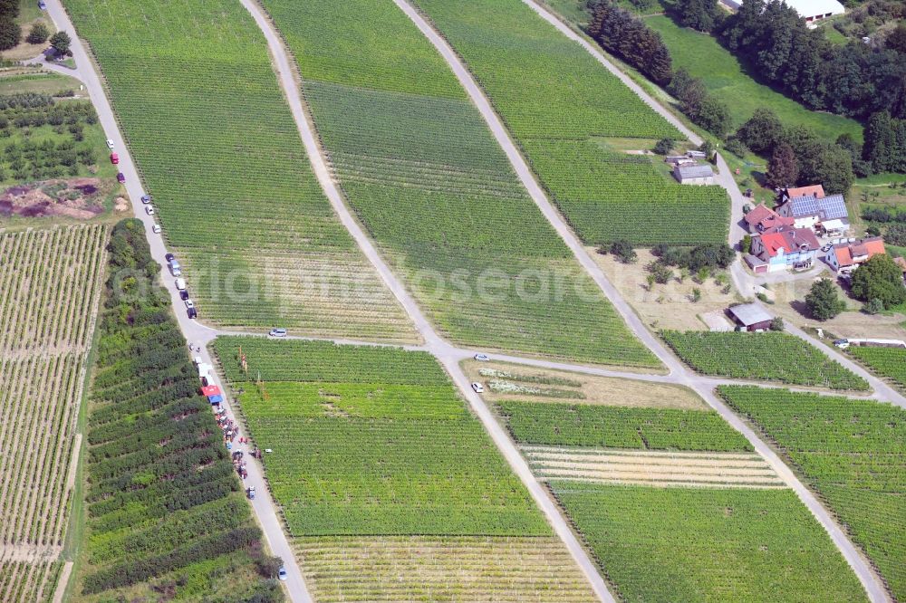 Sinzheim from the bird's eye view: Fields of wine cultivation landscape in Sinzheim in the state Baden-Wurttemberg, Germany