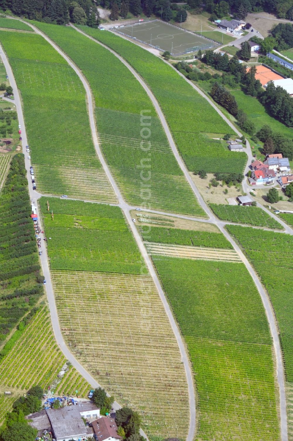 Aerial image Sinzheim - Fields of wine cultivation landscape in Sinzheim in the state Baden-Wurttemberg, Germany