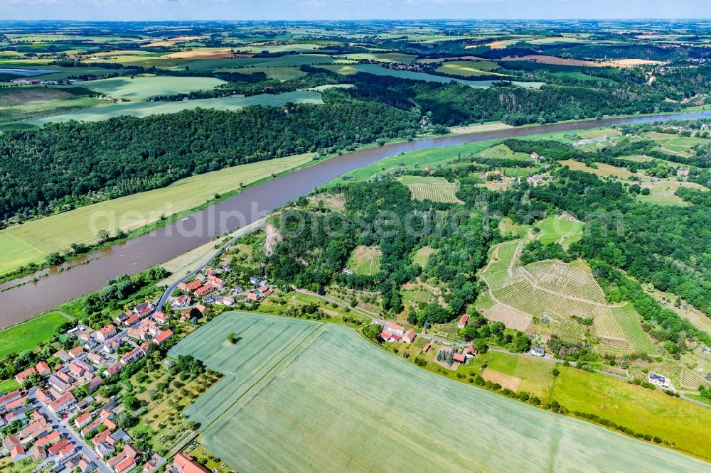 Aerial photograph Sörnewitz - Fields of a vineyard and vineyard landscape of the winegrowing areas in Soernewitz on the Elbe in the state Saxony, Germany