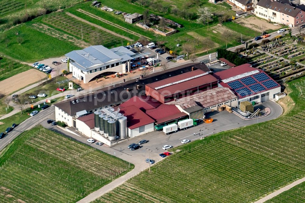 Aerial photograph Vogtsburg im Kaiserstuhl - Fields of wine cultivation landscape in Vogtsburg im Kaiserstuhl in the state Baden-Wuerttemberg, Germany