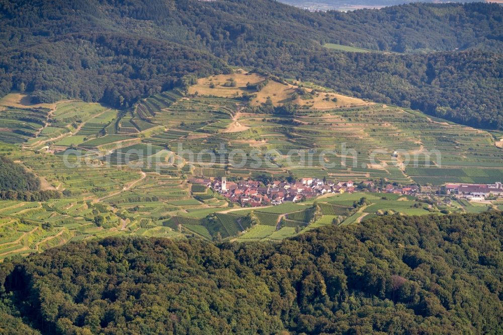 Aerial photograph Vogtsburg im Kaiserstuhl - Fields of wine cultivation landscape in Vogtsburg im Kaiserstuhl in the state Baden-Wurttemberg, Germany