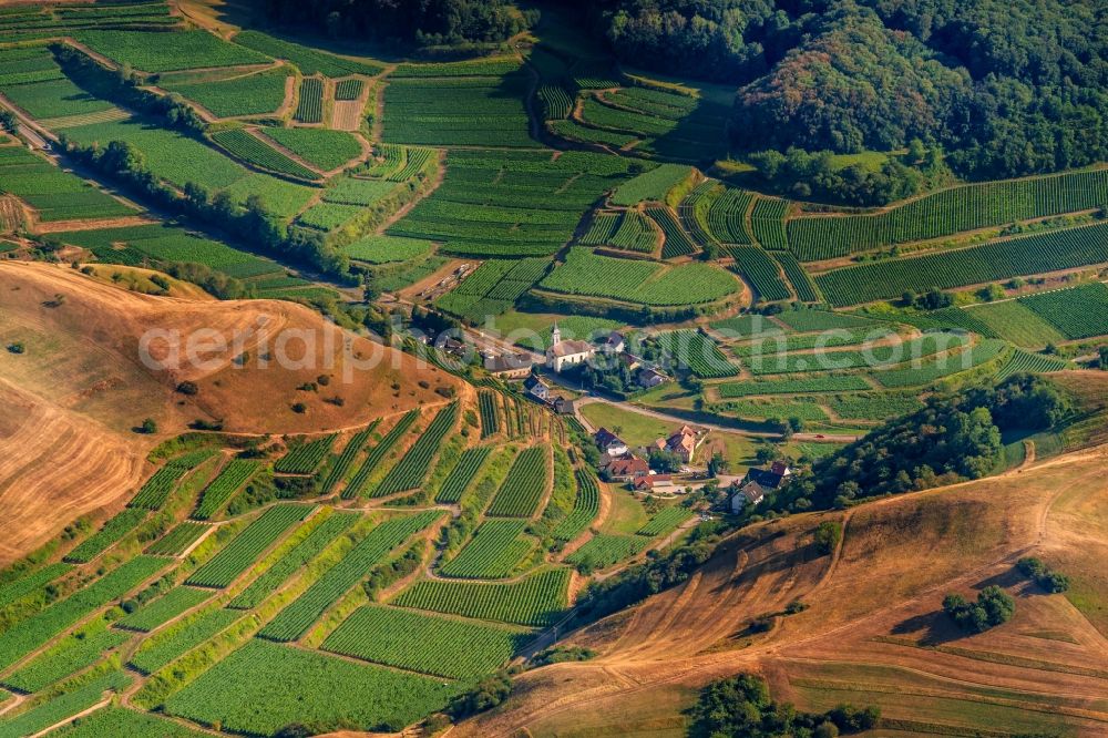 Aerial image Vogtsburg im Kaiserstuhl - Fields of wine cultivation landscape in Vogtsburg im Kaiserstuhl in the state Baden-Wurttemberg, Germany