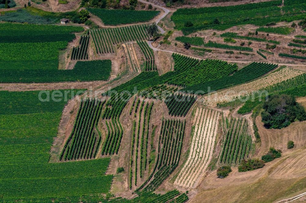 Aerial image Vogtsburg im Kaiserstuhl - Fields of wine cultivation landscape in Vogtsburg im Kaiserstuhl in the state Baden-Wurttemberg, Germany