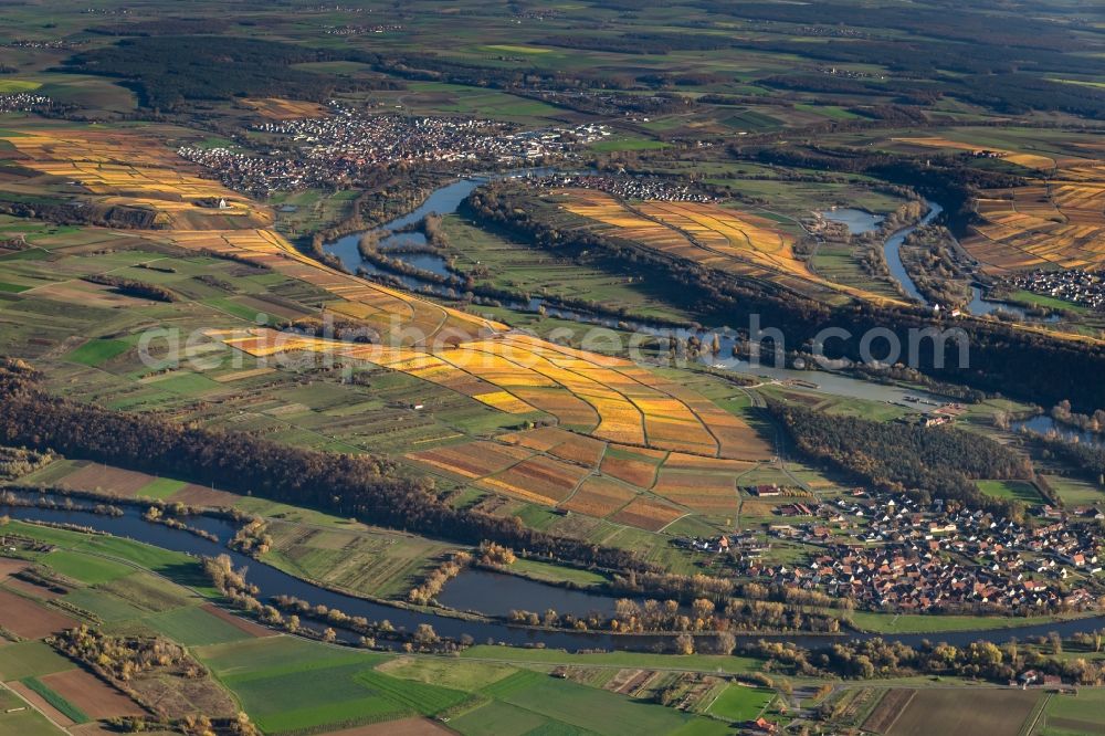 Volkach from above - fields of wine cultivation landscape on river course of main in Volkach in the state Bavaria, Germany