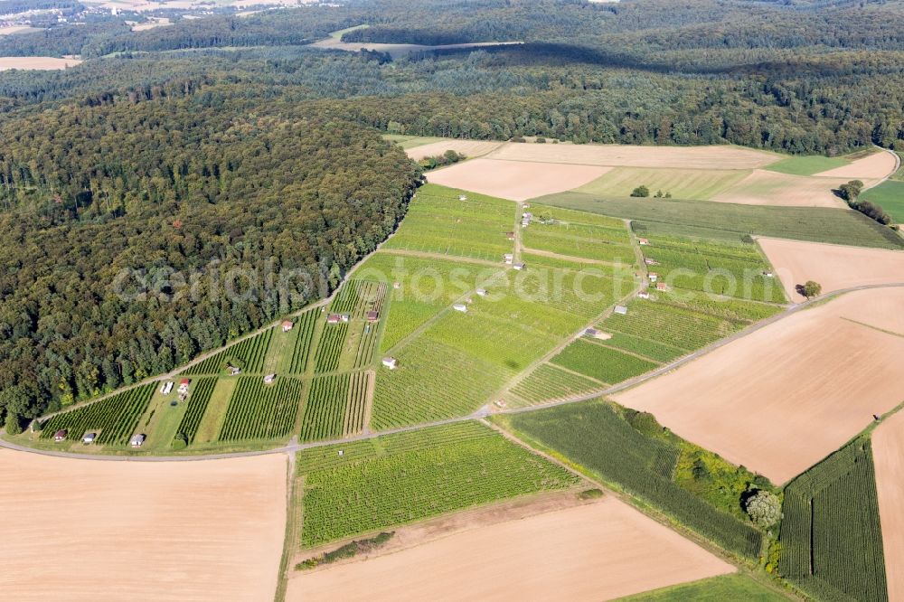 Walzbachtal from the bird's eye view: Fields of wine cultivation landscape in Walzbachtal in the state Baden-Wurttemberg, Germany