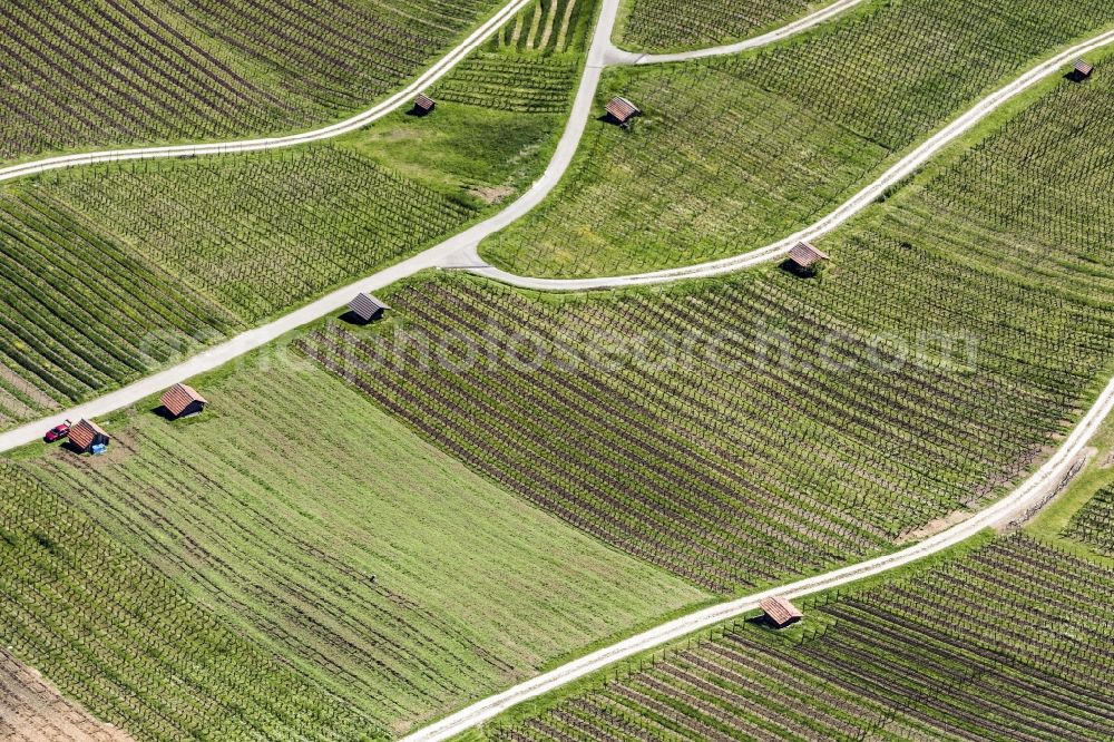 Wilchingen from above - Fields of wine cultivation landscape in Wilchingen in the canton Schaffhausen, Switzerland