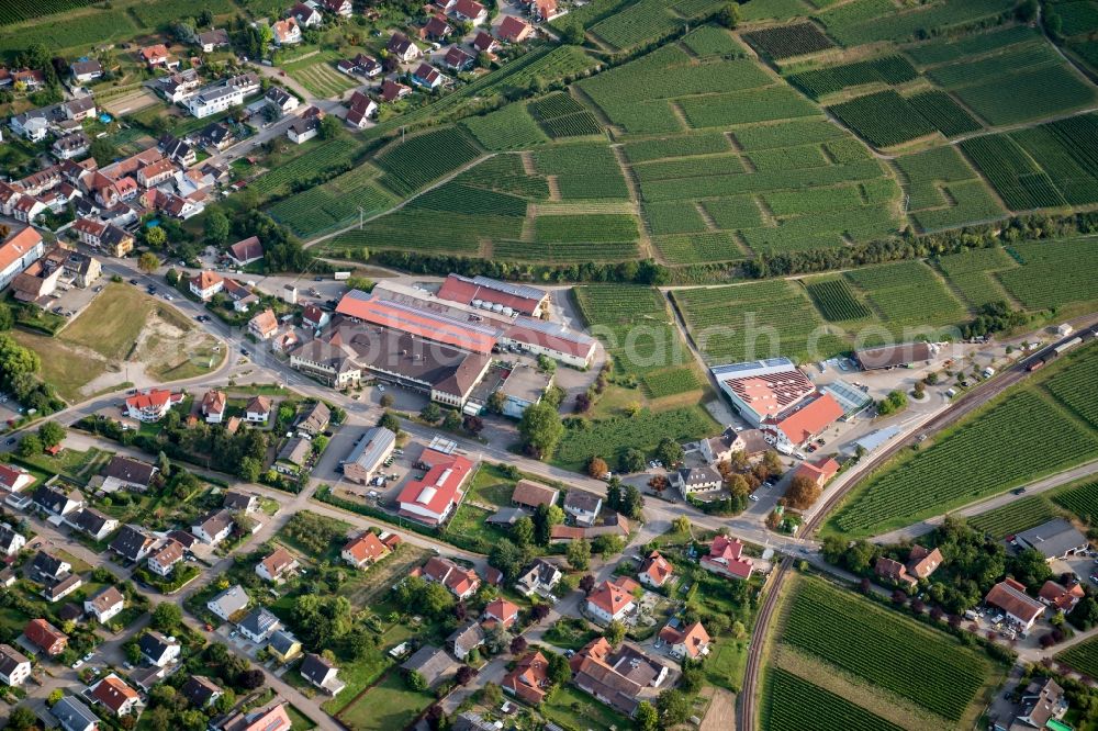 Aerial photograph Vogtsburg im Kaiserstuhl - Fields of wine cultivation landscape in Vogtsburg im Kaiserstuhl in the state Baden-Wuerttemberg, Germany