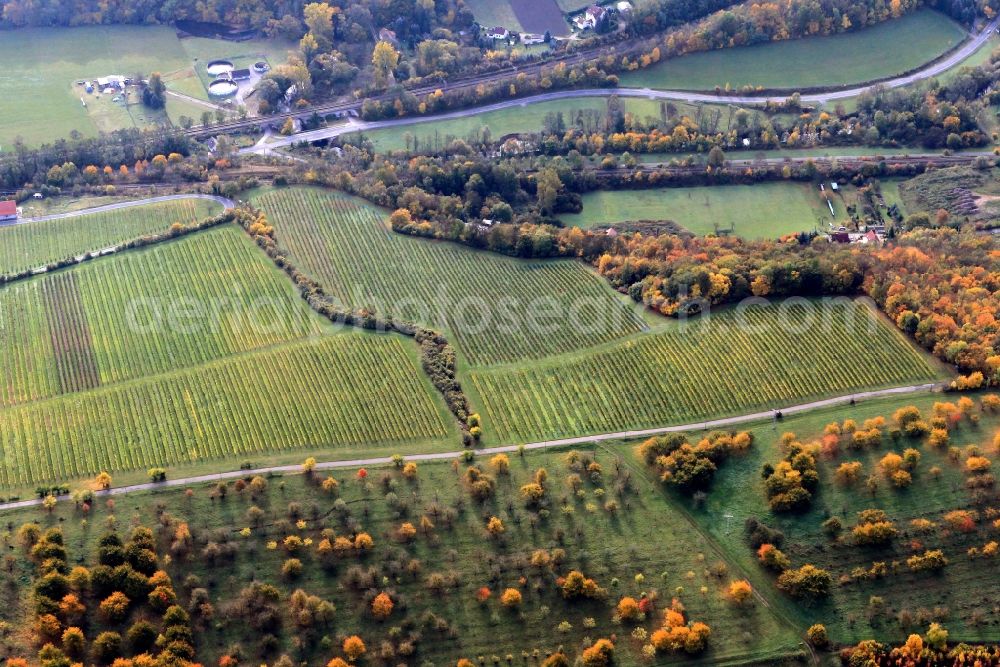 Bad Sulza from the bird's eye view: Vineyards at the Naumburg street in Bad Sulza in Thuringia