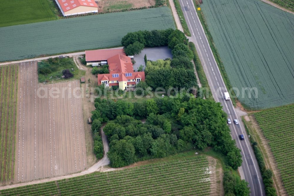 Aerial photograph Harxheim - Wine-growing estate in the North of Harxheim in the state of Rhineland-Palatinate. The vineyard is surrounded by fields and a small wooded area on country road L425. The familiy business includes the Gutsschaenke, a small restaurant