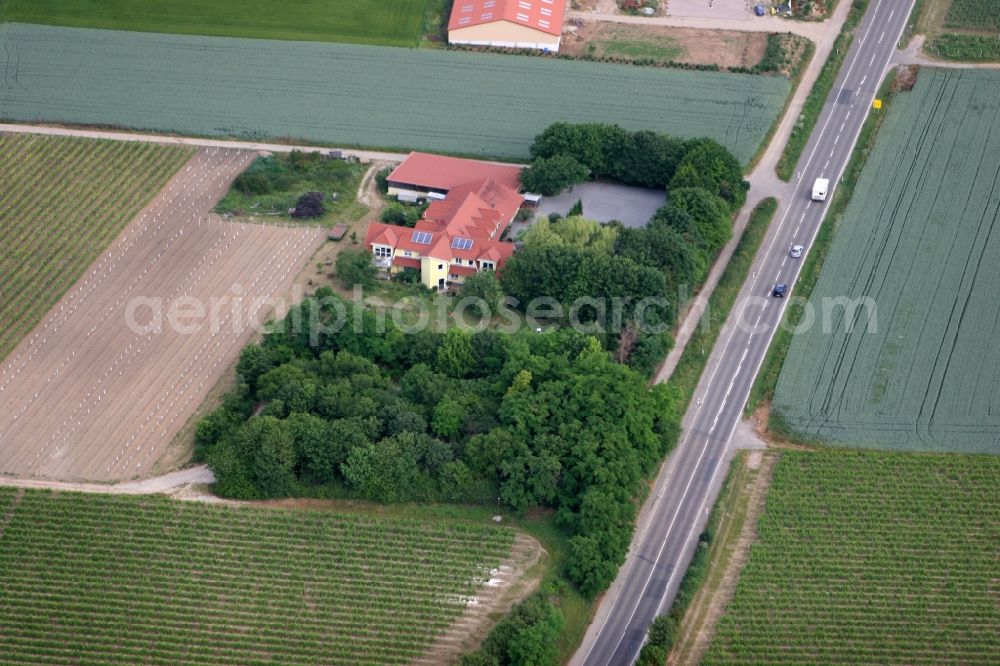 Harxheim from above - Wine-growing estate in the North of Harxheim in the state of Rhineland-Palatinate. The vineyard is surrounded by fields and a small wooded area on country road L425. The familiy business includes the Gutsschaenke, a small restaurant