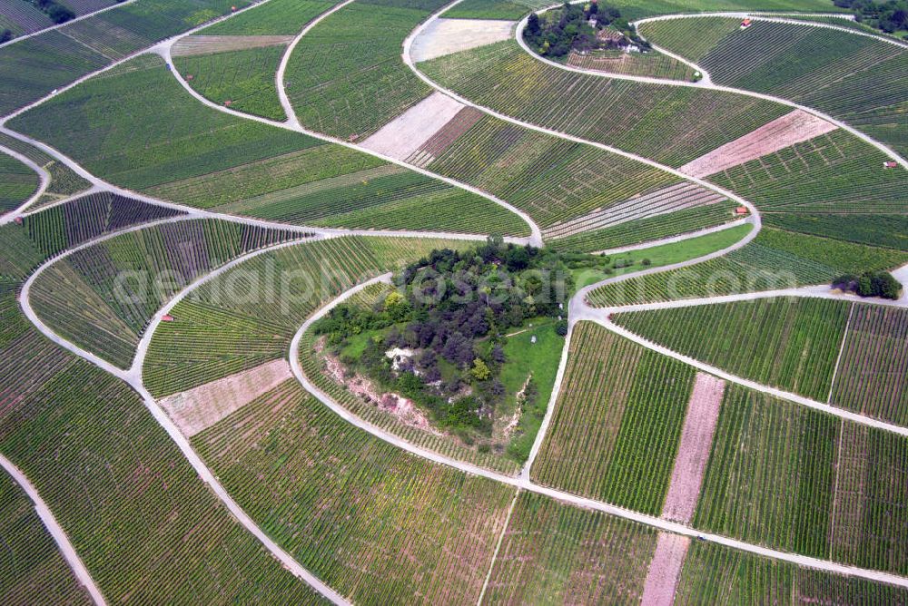 Weinstadt / OT Strümpfelbach from above - Blick auf den Weinanbau bei Strümpfelbach. Das Weingut Kuhnle zählt zu den bekanntesten und beliebtesten in ganz Baden-Württemberg.Weingut Kuhnle, Hauptstr. 49, 71384 Weinstadt-Struempfelbach, Tel.: 07151/61293,