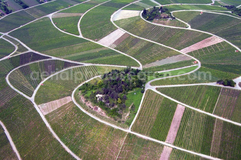 Weinstadt / OT Strümpfelbach from the bird's eye view: Blick auf den Weinanbau bei Strümpfelbach. Das Weingut Kuhnle zählt zu den bekanntesten und beliebtesten in ganz Baden-Württemberg.Weingut Kuhnle, Hauptstr. 49, 71384 Weinstadt-Struempfelbach, Tel.: 07151/61293,