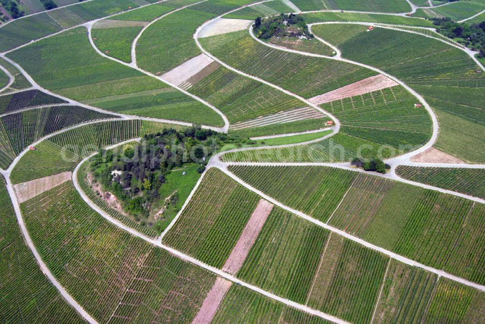 Aerial image Weinstadt / OT Strümpfelbach - Blick auf den Weinanbau bei Strümpfelbach. Das Weingut Kuhnle zählt zu den bekanntesten und beliebtesten in ganz Baden-Württemberg.Weingut Kuhnle, Hauptstr. 49, 71384 Weinstadt-Struempfelbach, Tel.: 07151/61293,