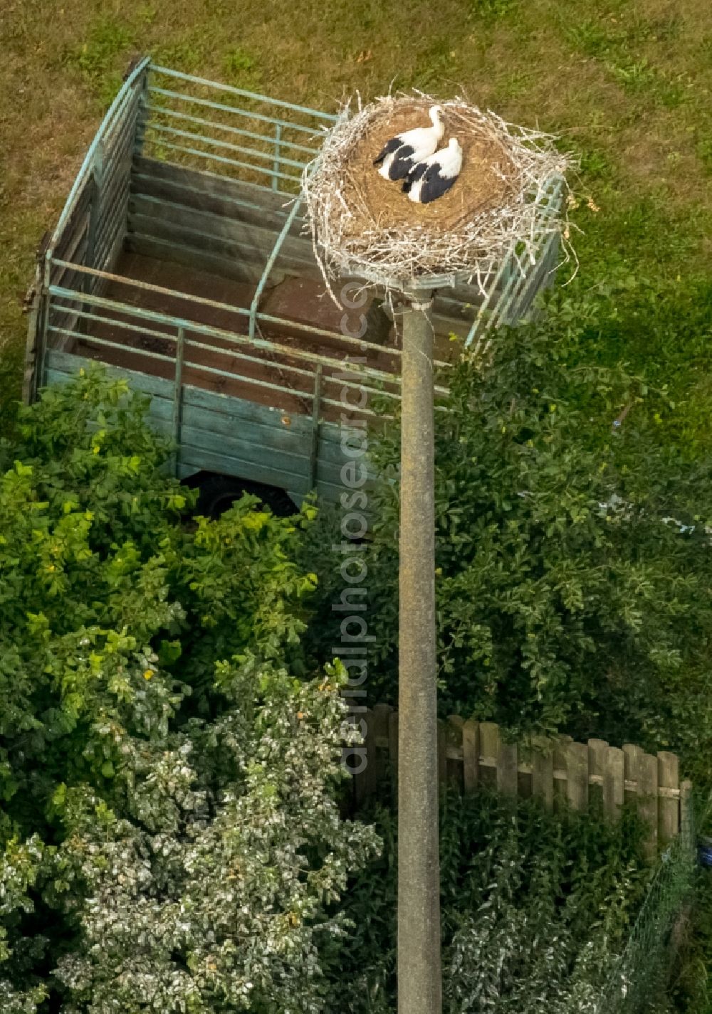 Vipperow from above - White Stork nest with fledglings in Vipperow in Mecklenburg - Western Pomerania