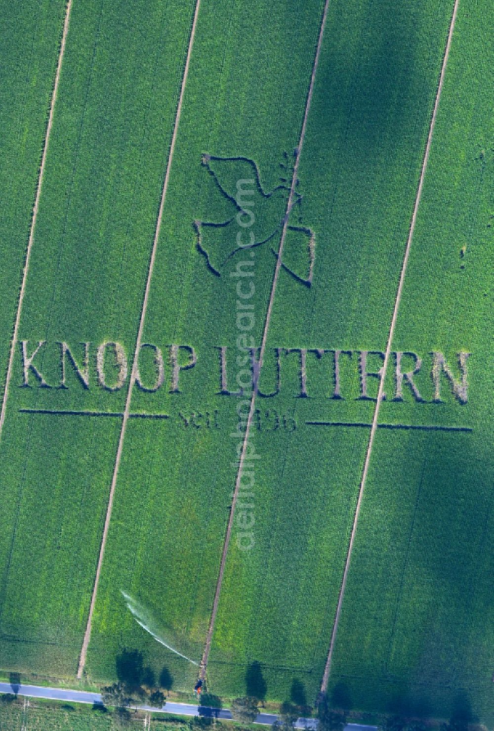 Aerial photograph Eldingen - Promotion and advertising lettering for the agricultural company KNOOP LUTHERN - since 1496 in a corn field in Eldingen in the state of Lower Saxony, Germany