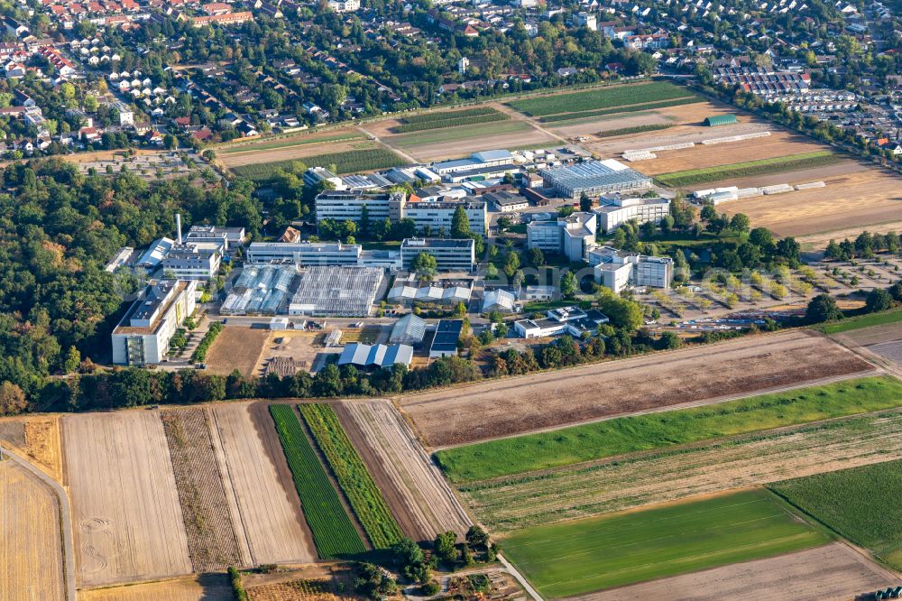 Limburgerhof from the bird's eye view: BASF Agricultural Center on street Hardenburgstrasse in Limburgerhof in the state Rhineland-Palatinate, Germany