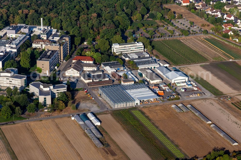 Limburgerhof from above - BASF Agricultural Center on street Hardenburgstrasse in Limburgerhof in the state Rhineland-Palatinate, Germany