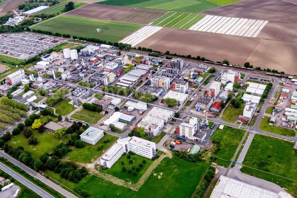 Lampertheim from the bird's eye view: Building and production halls on the premises of the chemical manufacturers BASF Lampertheim GmbH in Lampertheim in the state Hesse, Germany