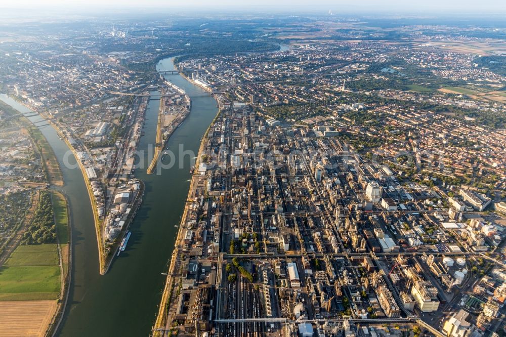 Ludwigshafen am Rhein from the bird's eye view: Building and production halls on the premises of the chemical manufacturers BASF on Rhein in Ludwigshafen am Rhein in the state Rhineland-Palatinate, Germany