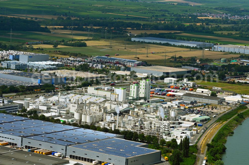 Worms from above - Building and production halls on the premises of the chemical manufacturers Grace GmbH & Co KG in Worms in the state Rhineland-Palatinate, Germany