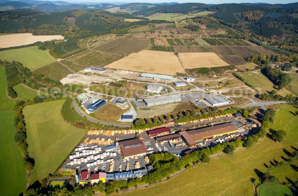 Schmallenberg from the bird's eye view: Building and production halls on the premises of Dickel-Holz GmbH & Co. KG in Schmallenberg in the state North Rhine-Westphalia