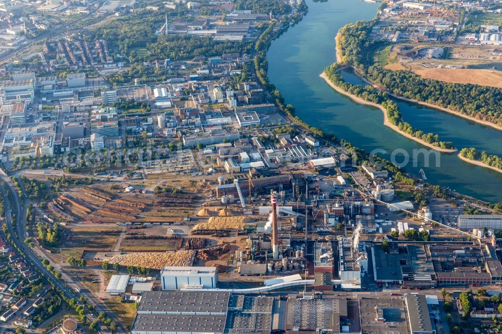 Aerial photograph Mannheim - Building and production halls on the premises Essity Mannheim (ZeWa) in the district Sandhofen in Mannheim in the state Baden-Wurttemberg, Germany