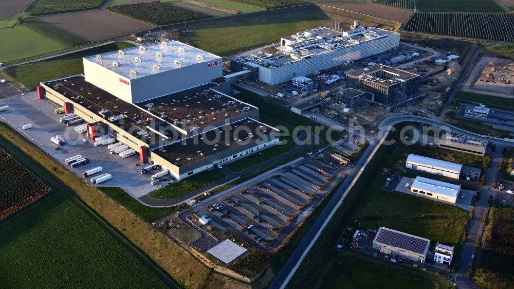 Aerial photograph Grafschaft - Building and production halls on the premises of HARIBO GmbH in the district Ringen in Grafschaft in the state Rhineland-Palatinate, Germany