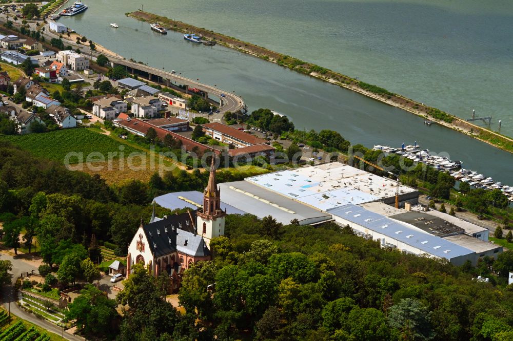 Bingen am Rhein from above - Building and production halls on the premises of Rheinberg Kellerei GmbH on street Mainzer Strasse in the district Buedesheim in Bingen am Rhein in the state Rhineland-Palatinate, Germany