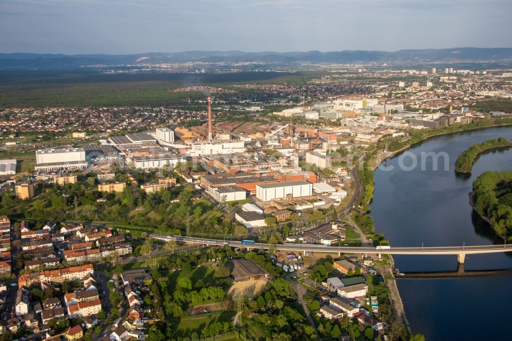 Mannheim from the bird's eye view: Building and production halls on the premises of SCA HYGIENE PRODUCTS GmbH in the district Waldhof in Mannheim in the state Baden-Wuerttemberg, Germany