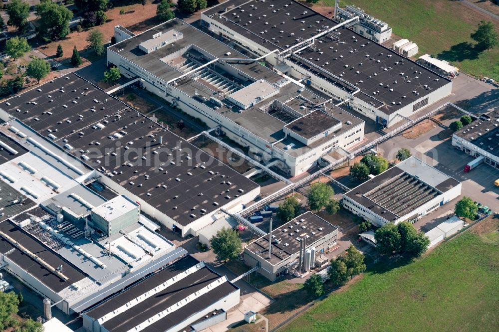 Offenburg from the bird's eye view: Building and production halls on the premises of Tesa plant Offenburg GmbH on Kinzigstrasse in Offenburg in the state Baden-Wurttemberg, Germany