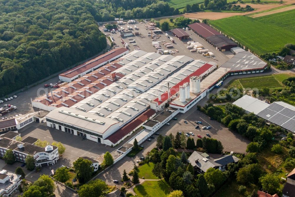 Rheinau from the bird's eye view: Building and production halls on the premises of WeberHaus GmbH & Co. KG in the district Linx in Rheinau in the state Baden-Wuerttemberg, Germany