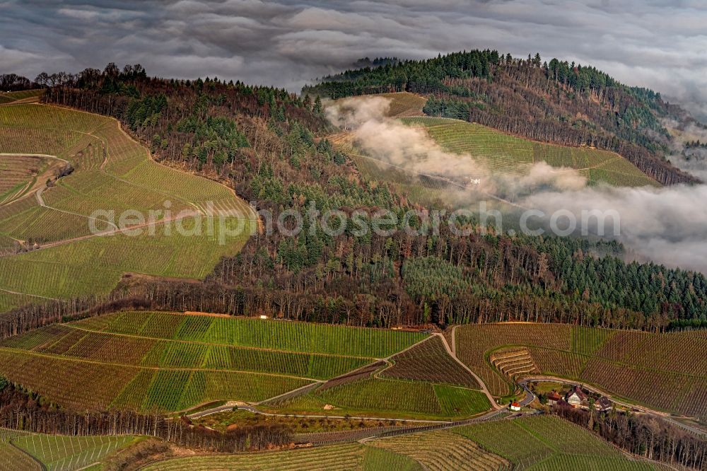 Oberkirch from the bird's eye view: Weather with layered fog cover Wald and Reblandschaft in Bottenau at Oberkirch in the state Baden-Wurttemberg, Germany