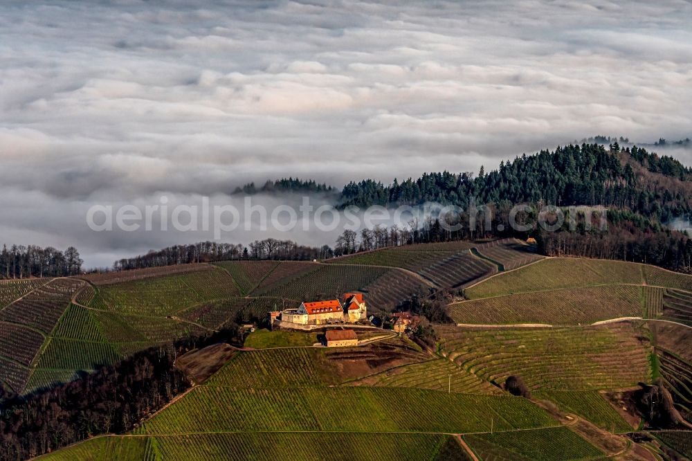 Durbach from above - Weather with layered fog cover in den Weinbergen bei in Durbach in the state Baden-Wurttemberg, Germany