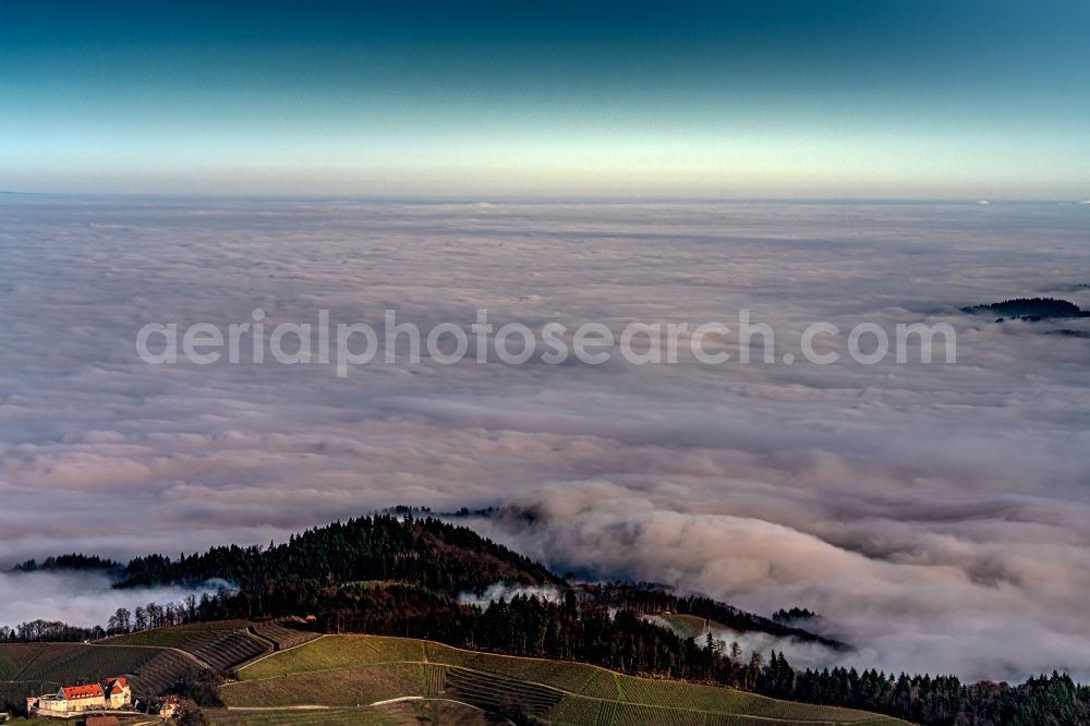 Durbach from the bird's eye view: Weather with layered fog cover in den Weinbergen bei in Durbach in the state Baden-Wurttemberg, Germany