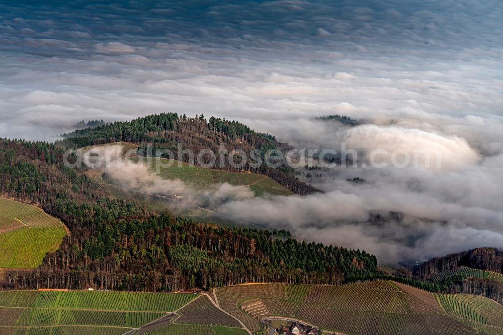 Aerial image Durbach - Weather with layered fog cover in den Weinbergen bei in Durbach in the state Baden-Wurttemberg, Germany