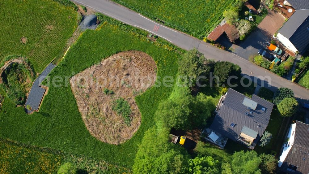 Aerial image Königswinter - Meadow in heart shape in Koenigswinter-Rauschendorf in the state North Rhine-Westphalia, Germany