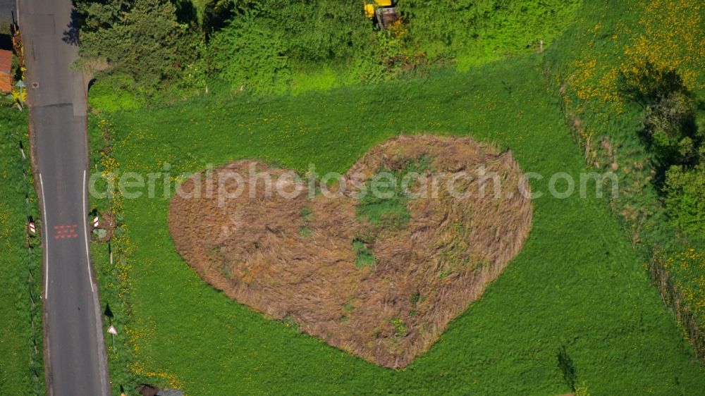 Aerial photograph Königswinter - Meadow in heart shape in Koenigswinter-Rauschendorf in the state North Rhine-Westphalia, Germany