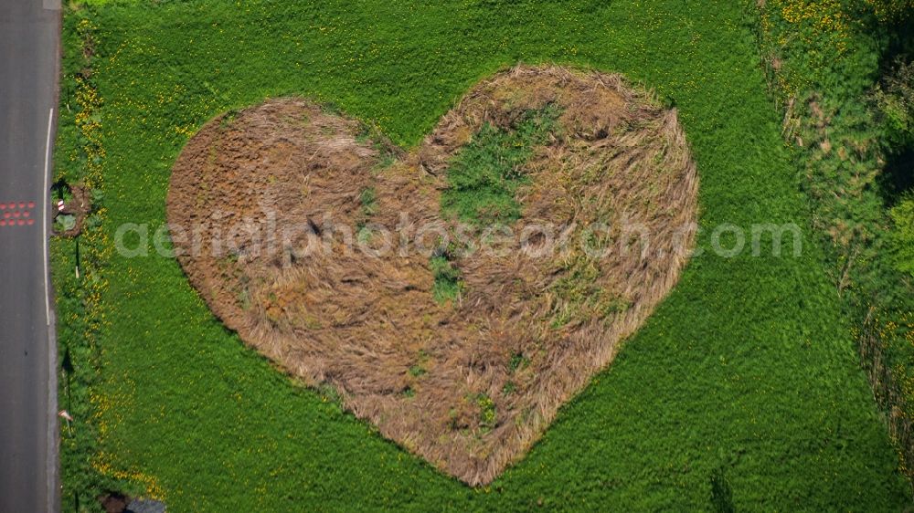 Königswinter from above - Meadow in heart shape in Koenigswinter-Rauschendorf in the state North Rhine-Westphalia, Germany